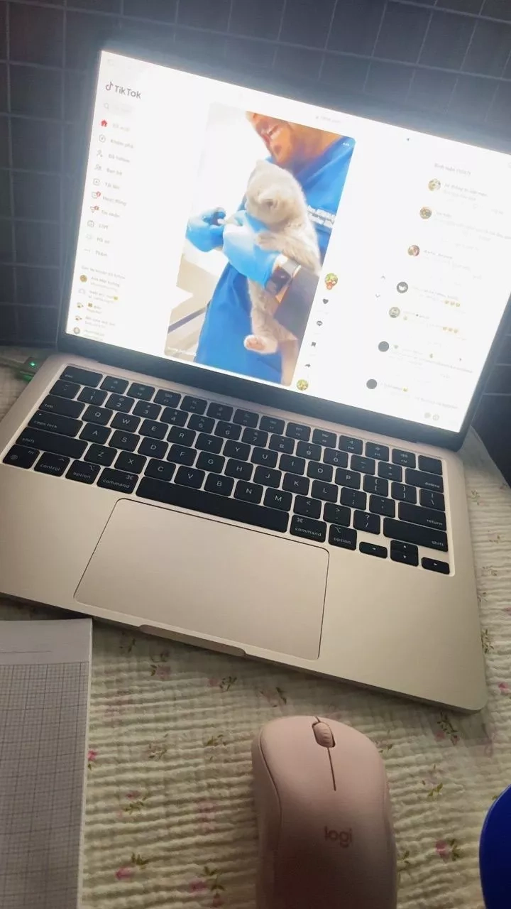 Tiktok shop